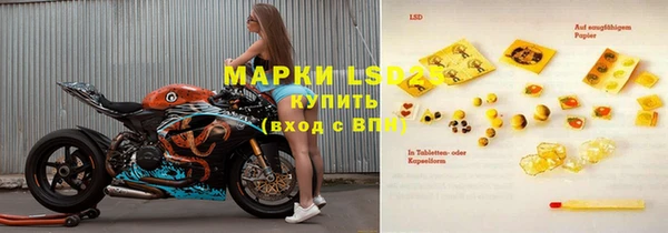 PSILOCYBIN Алзамай