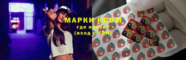 крисы Алексин