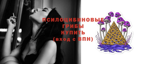PSILOCYBIN Алзамай