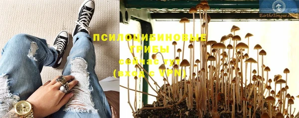 крисы Алексин