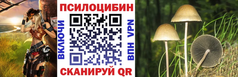 Галлюциногенные грибы MAGIC MUSHROOMS  где продают наркотики  Анапа 